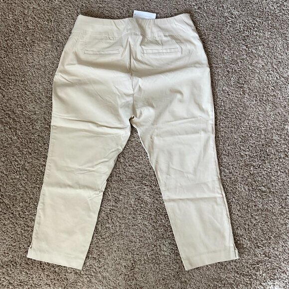 New York & Co Whitney Tummy Control Pull On Capri Pants, Tan, XL Petite, NWT - Picture 3 of 6